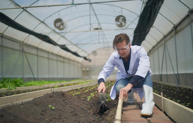 Organic Farmer Ricercatori di Eco Agriculture presso smart organic farm Tecnologia agricola innovativa