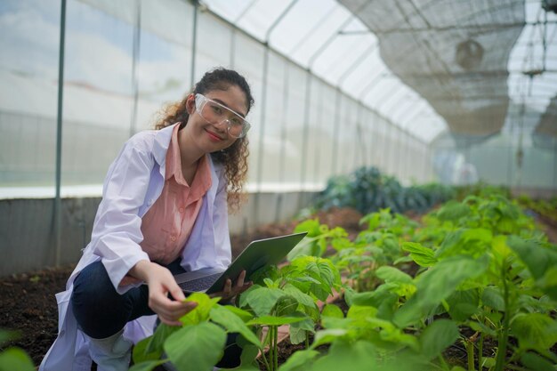 Organic Farmer Ricercatori di Eco Agriculture presso smart organic farm Tecnologia agricola innovativa