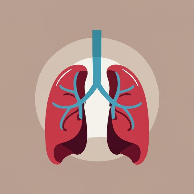 Organo interno umano vettoriale gratuito con polmoni
