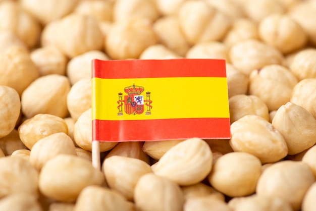 Origine delle noci che coltivano nocciole nel concetto di Spagna