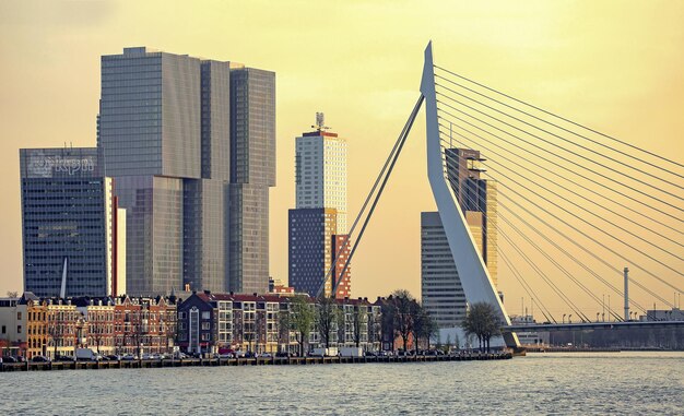 Orizzonte al tramonto e cielo colorato sul ponte Erasmus e grattacielo nella città di Rotterdam nei Paesi Bassi