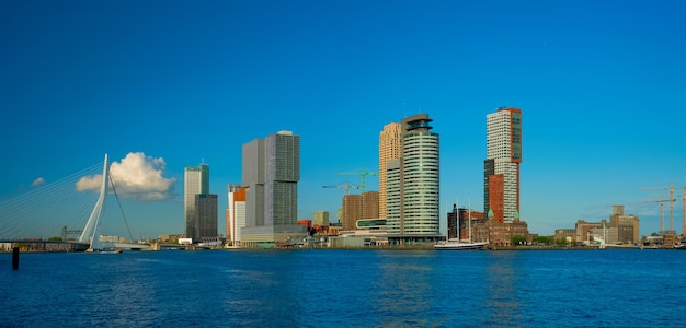 Orizzonte dei grattacieli di Rotterdam e ponte erasmusbrug sul fiume Nieuwe maas rotterdam