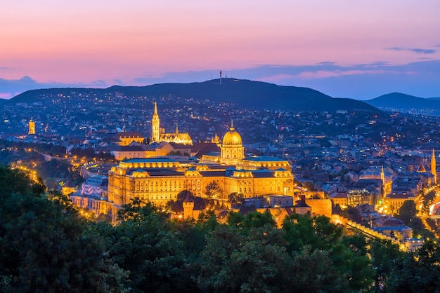 Orizzonte di Budapest in Ungheria. Vista notturna sul palazzo del Parlamento sul delta del Danubio