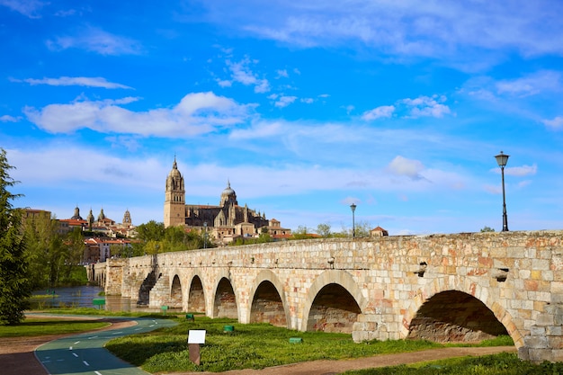 Orizzonte di Salamanca e ponte romano su Tormes