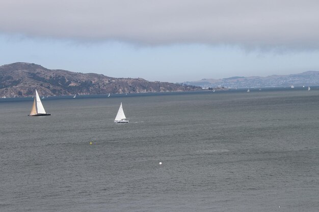 Orizzonte di San Francisco da Chrissy Field