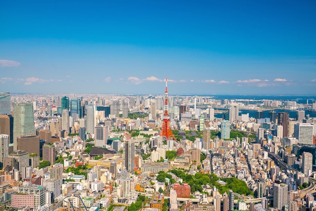 Orizzonte di Tokyo con la Tokyo Tower in Giappone