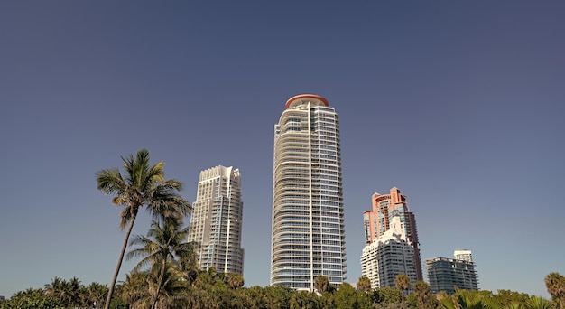 Orizzonte urbano con vista dal basso di grattacieli e palme sul cielo blu a South Beach USA