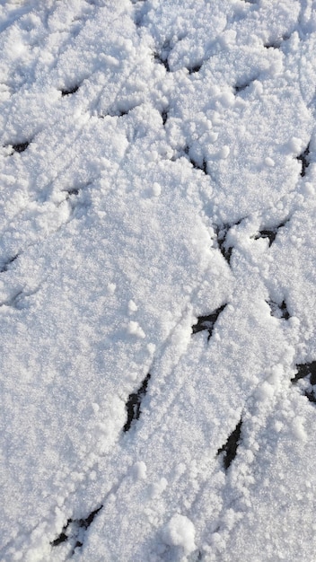 Orme nella neve