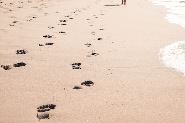 Orme nella sabbia bagnata sulla spiaggia dell'oceano di Margate, Sudafrica