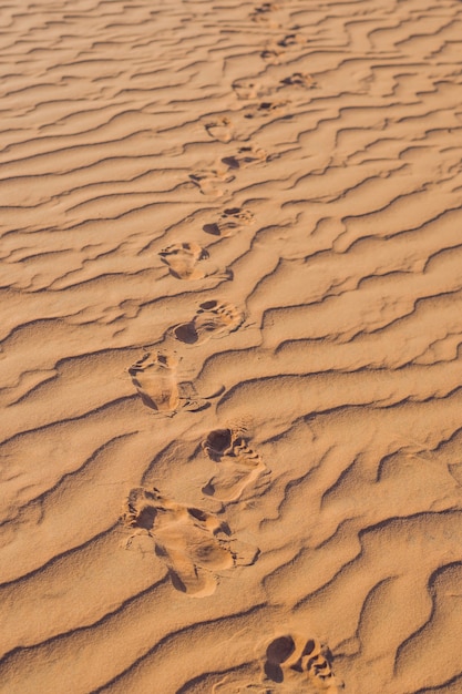 Orme nella sabbia nel deserto rosso all'alba.