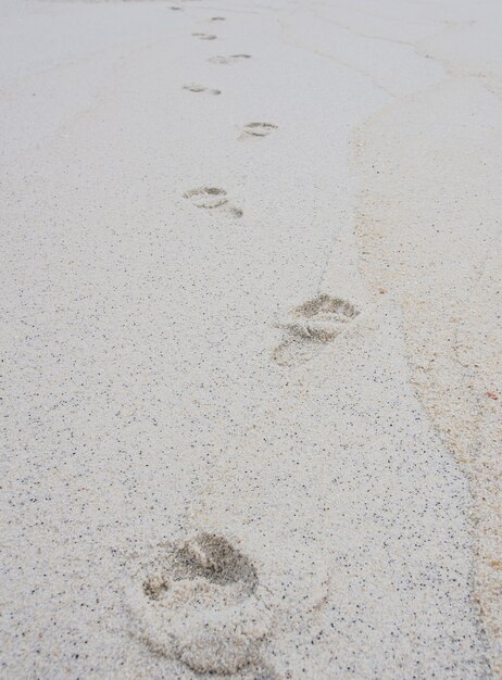 Orme sulla spiaggia sabbiosa