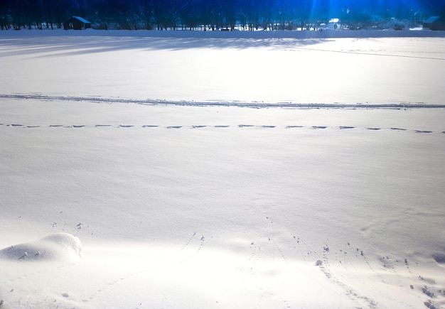 Orme sullo sfondo del paesaggio di neve liscia hd