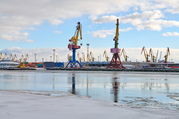 Ormeggiate navi da carico e gru portuali nel porto. Porto marittimo, cantiere per container, terminal per navi portacontainer, cantiere navale. Affari e commercio, logistica