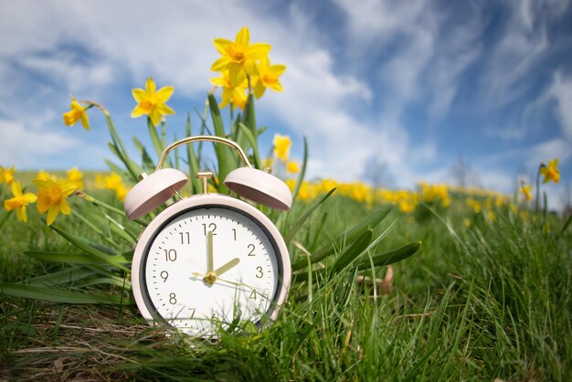 Orologio sveglia con fiori di narcisi passa all'ora legale in primavera cambio orario estivo