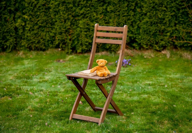 Orsacchiotto e libro sulla sedia di legno sull'erba verde in primavera