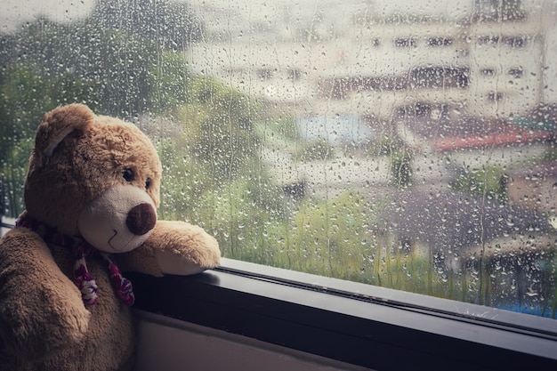 Orsacchiotto marrone che si siede accanto alla finestra mentre piovendo
