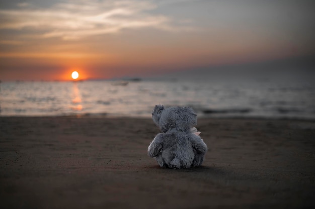 Orsacchiotto solitario seduto da solo sulla spiaggia al tramonto della sera per una cartolina creata di bambini internazionali scomparsi cuore spezzato solitario triste solo bambola carina indesiderata persa