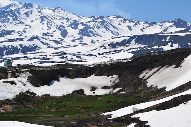 Orsi allo stato brado nei vulcani di neve della neve nelle montagne innevate della Kamchatka