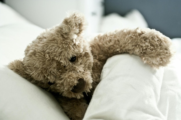 Orso di peluche a letto a casa