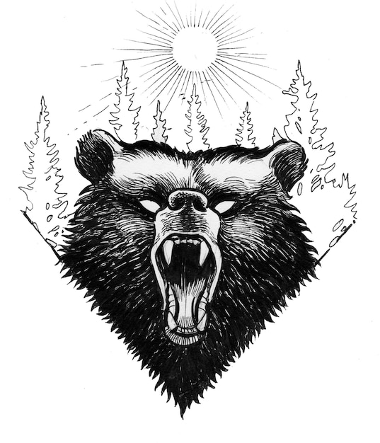 Orso grizzly arrabbiato. Disegno a inchiostro in bianco e nero