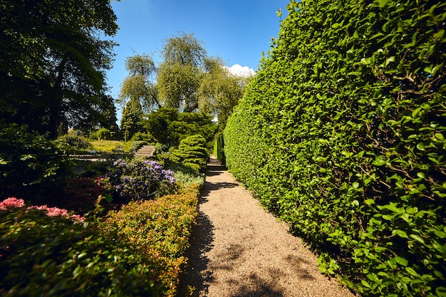 Orto Botanico dell'Università di Wroclaw, Polonia. Il giardino fu costruito sull'isola della cattedrale (Ostrow Tumski)