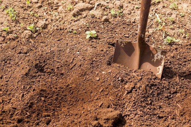 Orto comunitario preparato per la semina all'inizio della primavera nell'area urbana.