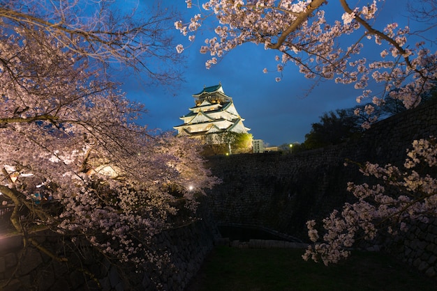 Osaka Castle durante il fiore di stagione del fiore di ciliegia della molla alla notte a Osaka, Giappone.