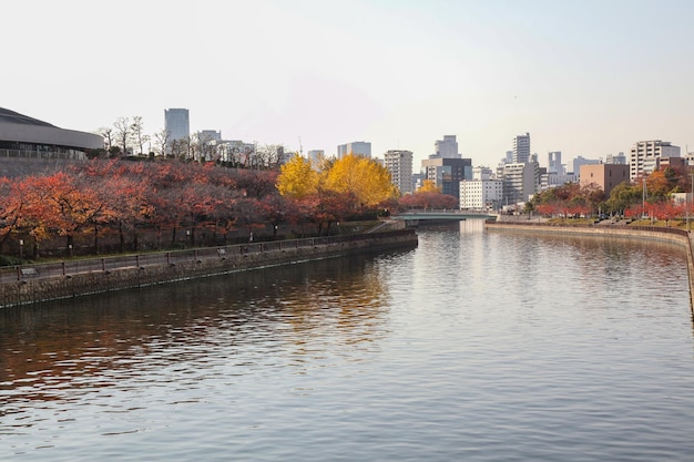 Osakajapannovembre 27 2017Vista del fiume vicino al castello di osaka a osaka in giappone