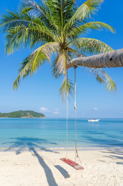 Oscillare appeso alla palma da cocco sulla spiaggia di sabbia vicino all'acqua di mare blu nell'isola di Koh Phangan