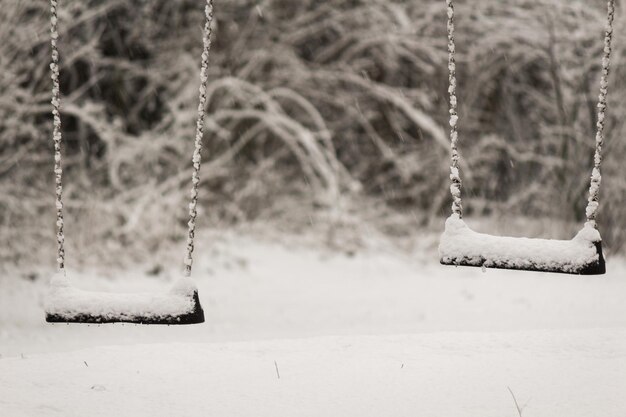 Oscille coperte di neve appese al parco giochi