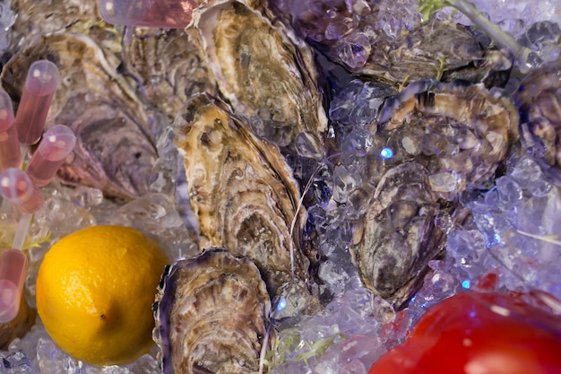 ostriche con limone su ghiaccio foto ravvicinata