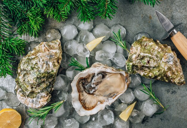 Ostriche crude aperte con limone e rosmarino. Frutti di mare freschi su uno sfondo di metallo