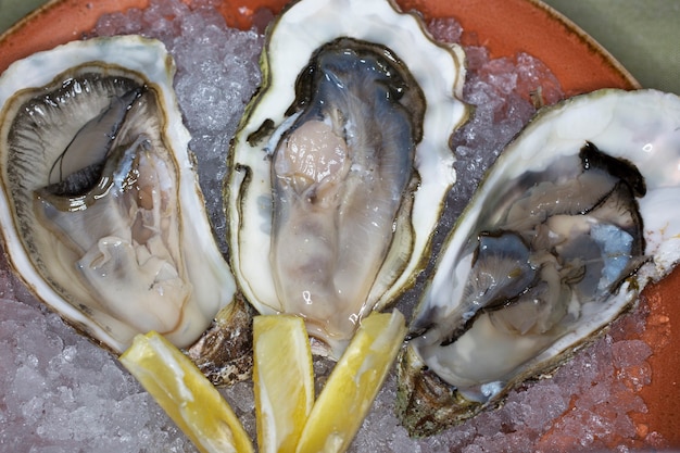 Ostriche fresche in una ciotola con ghiaccio, limone e salsa