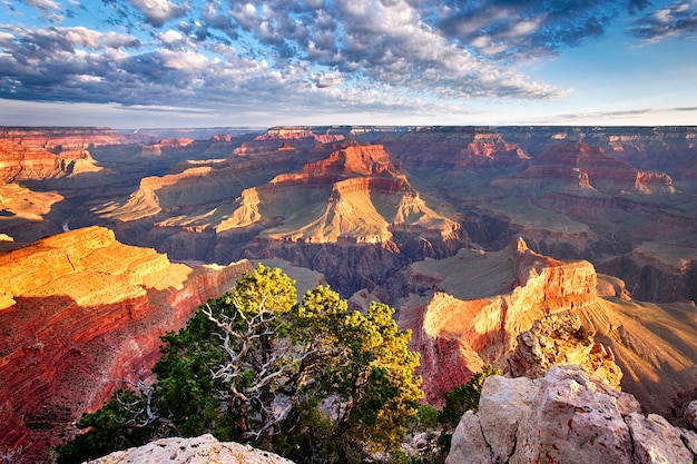 Ottima vista del Grand Canyon, USA