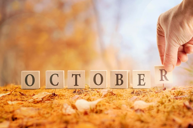 Ottobre è un mese autunnale Una parola fatta di cubi sullo sfondo di una foresta autunnale è la mano di un uomo