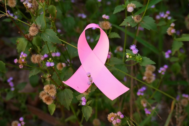 Ottobre Mese della sensibilizzazione sul cancro al seno Nastri rosa sull'erba selvatica