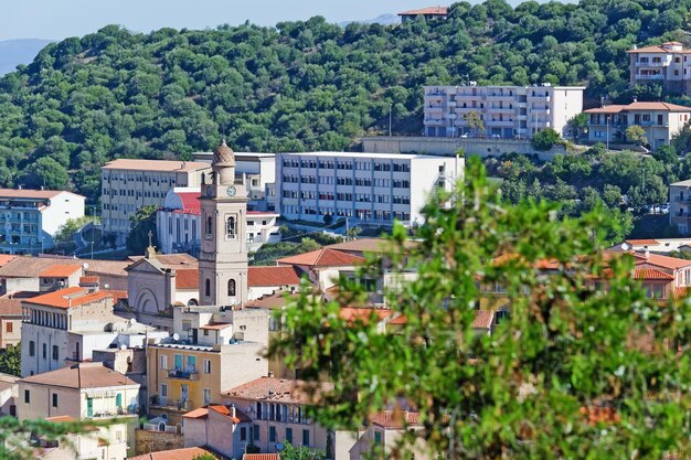 Ozieri paesaggio oltre un ramo