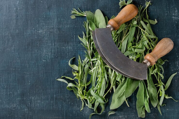 Foto pacchetto di erbe fresche italiane