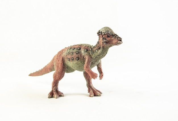 Pachycephalosaurus, dinosauro.