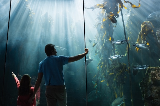 Padre e figlia guardando il serbatoio di pesce