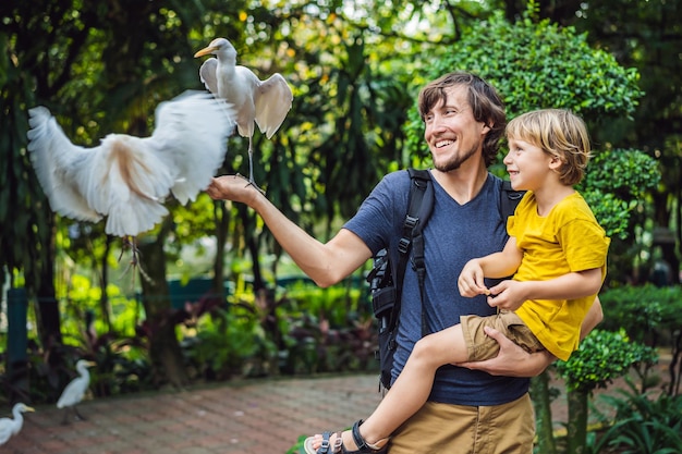 Padre e figlio che alimentano ibes nel parco Garzetta Garzetta guardabuoi Bubulcus ibis Waters Edge La famiglia trascorre del tempo nel parco insieme