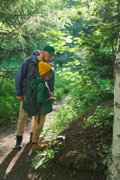 Padre e figlio che esaminano alberi e cespugli durante le loro escursioni nella foresta