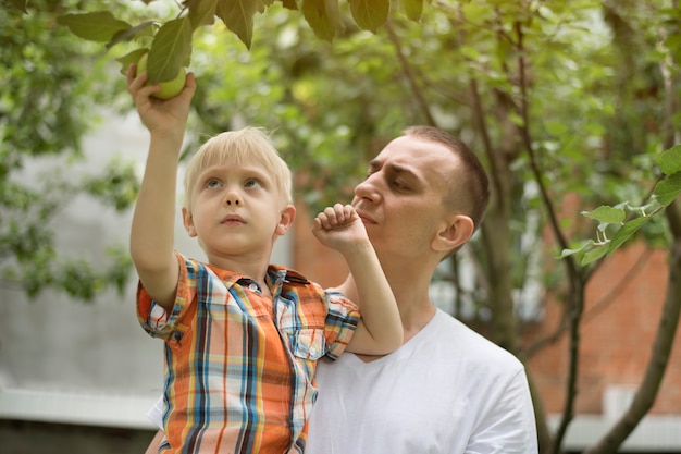 Padre e figlio piccolo stanno raccogliendo mele