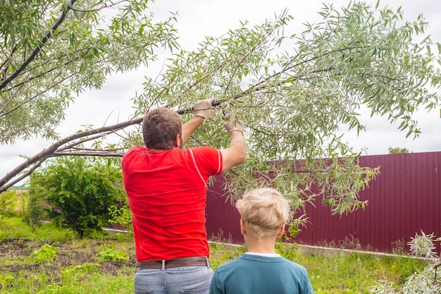 Padre e figlio stanno lavorando in giardino Un uomo sega un ramo su un albero Potatura degli alberi di primavera