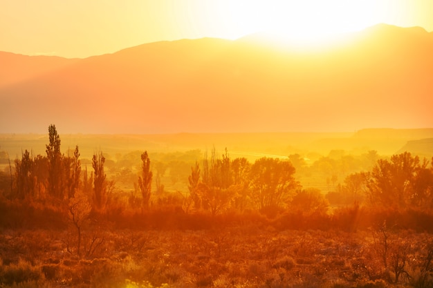 Paesaggi autunnali all'alba