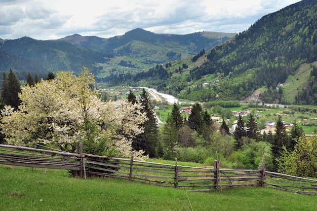 Paesaggi dei Carpazi in primavera.