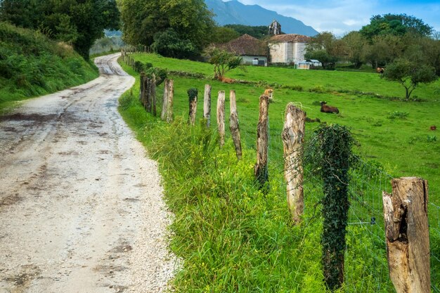 Paesaggi delle Asturie Spagna settentrionale Strade e montagne