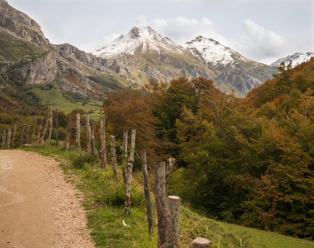 Paesaggi delle Asturie Spagna settentrionale Strade e montagne
