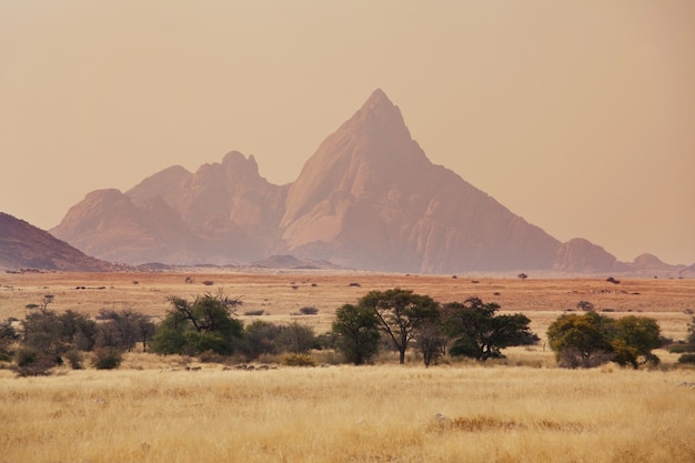 Paesaggi deserti in Namibia