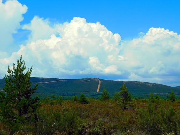 paesaggi di La Carballeda Zamora Spagna